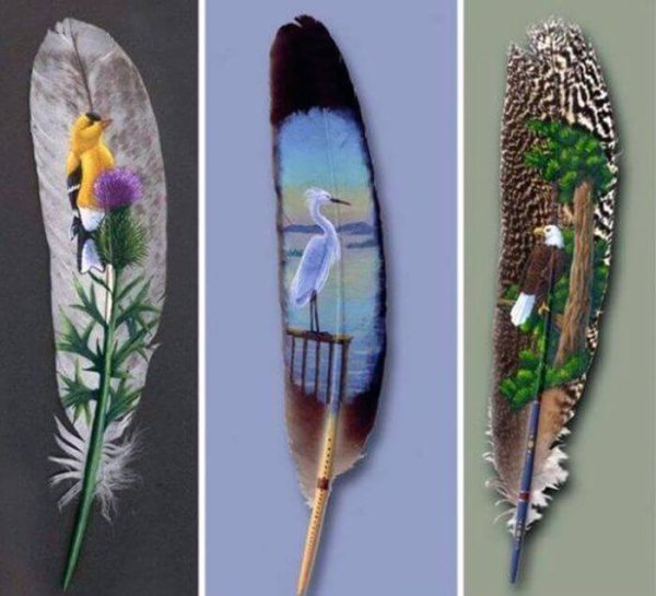 Реалистичные рисунки птиц