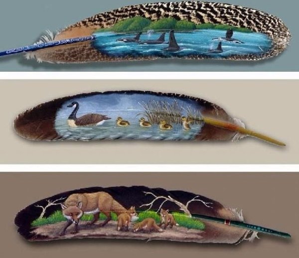Птичьи перья для рисования