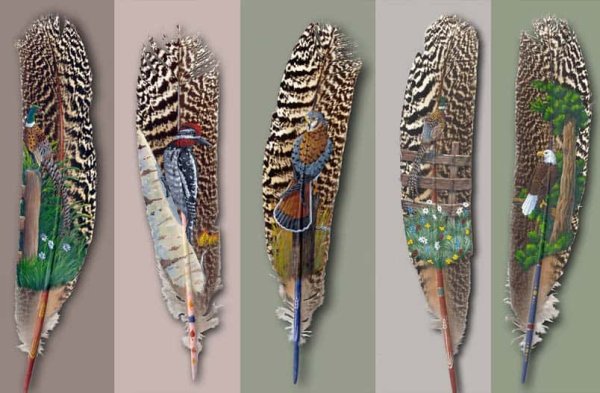 Рисунки картины на перьях птиц