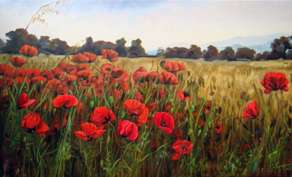 Маковое поле Игорь Сахаров