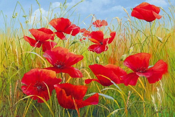 Клод Моне Маковое поле в Живерни