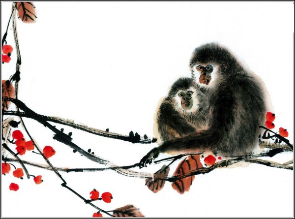 Гохуа обезьяна