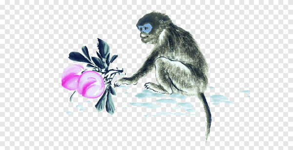 Китайская акварель обезьяна