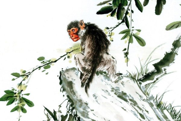 Гохуа обезьяна