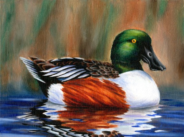 Утка живопись