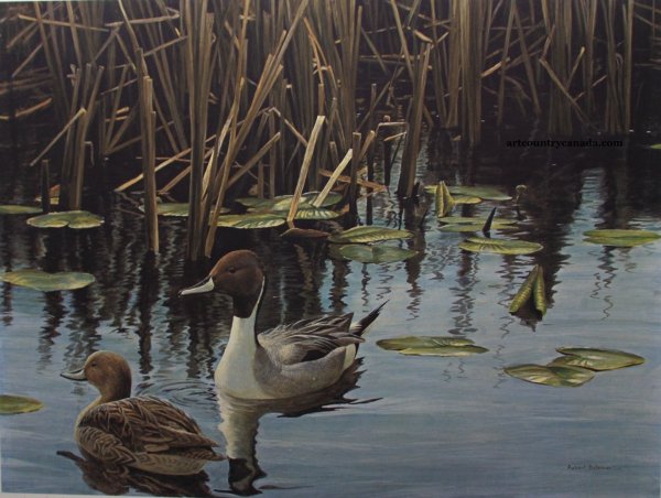 Роберт Бейтман. Утки . Картины