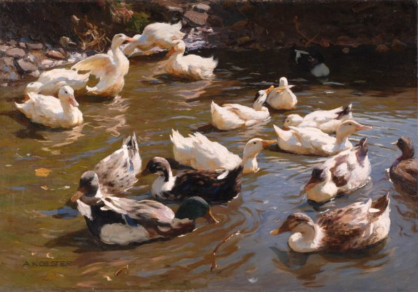 Александр кёстер утки