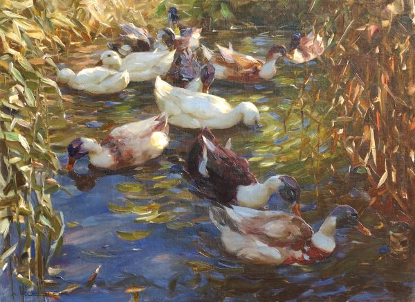 Александр кёстер утки