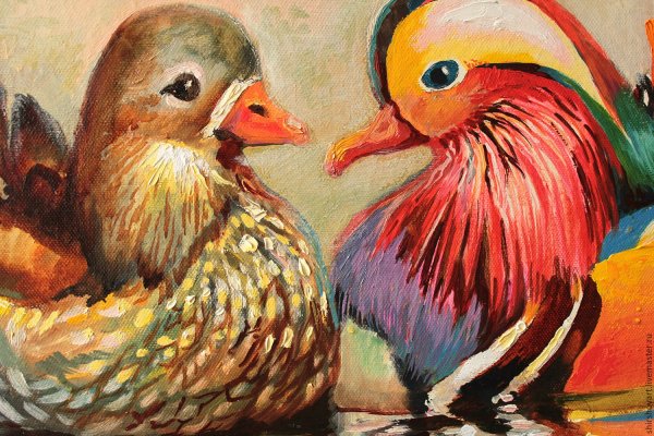 Утки мандаринки неразлучники