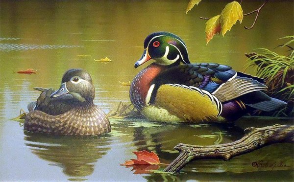 Картины с утками мандаринками