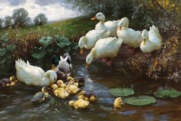 Александр кёстер утки