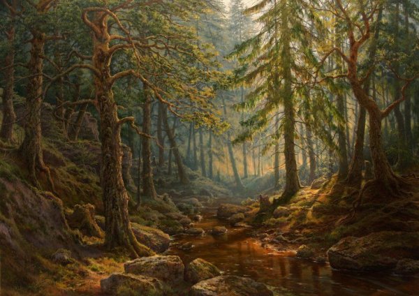 Картина Сергей Басов реликтовый лес