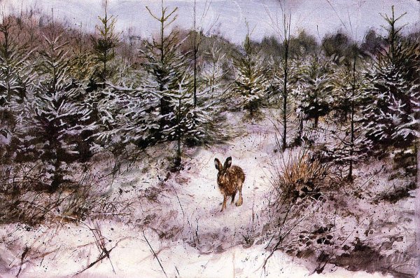 Медведь художник Рин Поортвлит (rien Poortvliet)