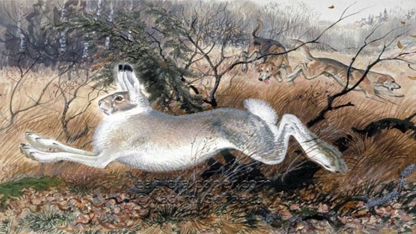 Художник анималист Горбатов картины