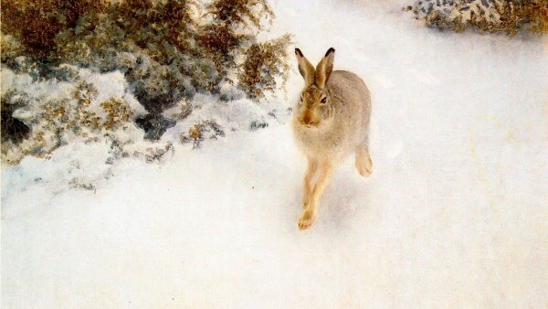 Шведский художник Бруно Лильефорс