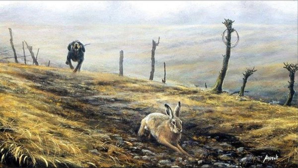 Охота на зайца картина