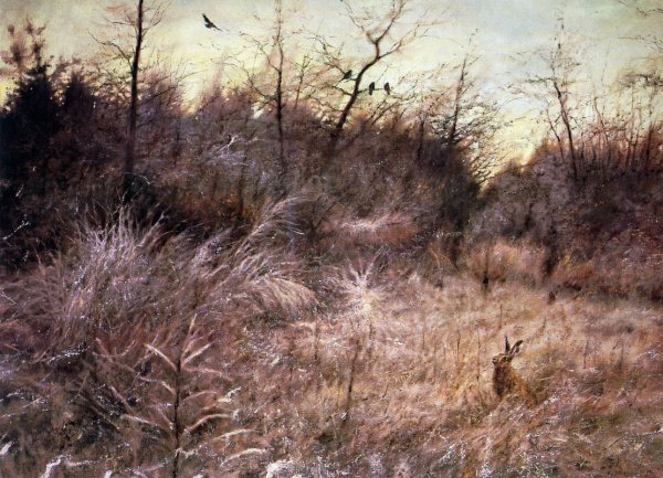 Васнецов анималист