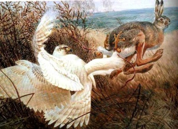 Живопись Рина Портвлита