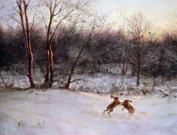 Картина по номерам заяц