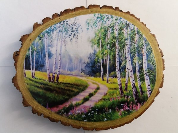 Рисунки на березовых спилах