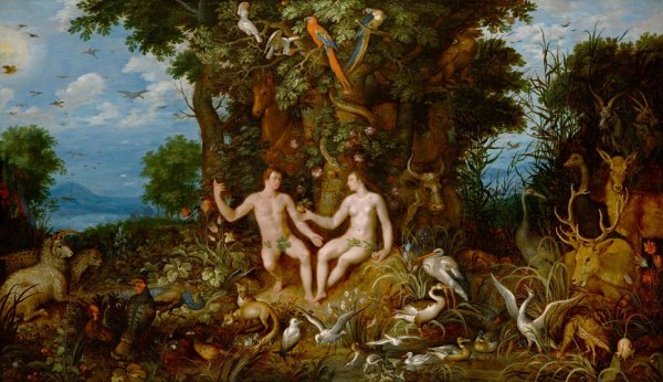 Корнелис Корнелиссен грехопадение