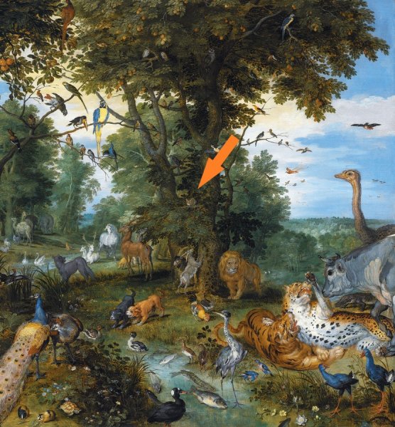Ян брейгель Райский сад