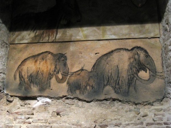 Каменный век Наскальная живопись мамонт