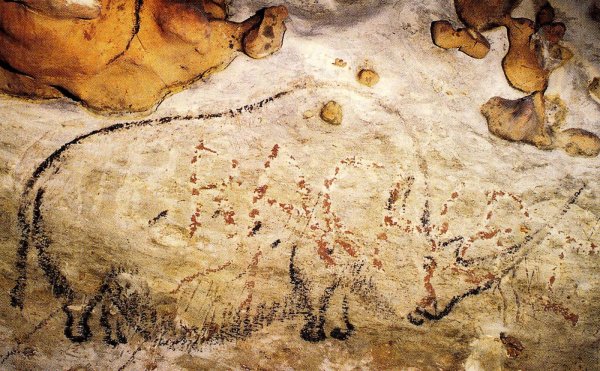 Пещерный медведь в пещере Шове