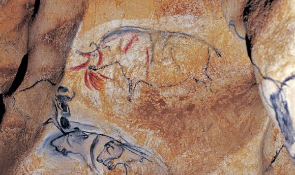 Пещера Шове Франция наскальные рисунки