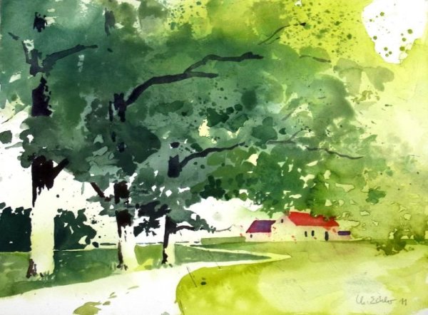 David Bellamy Watercolour