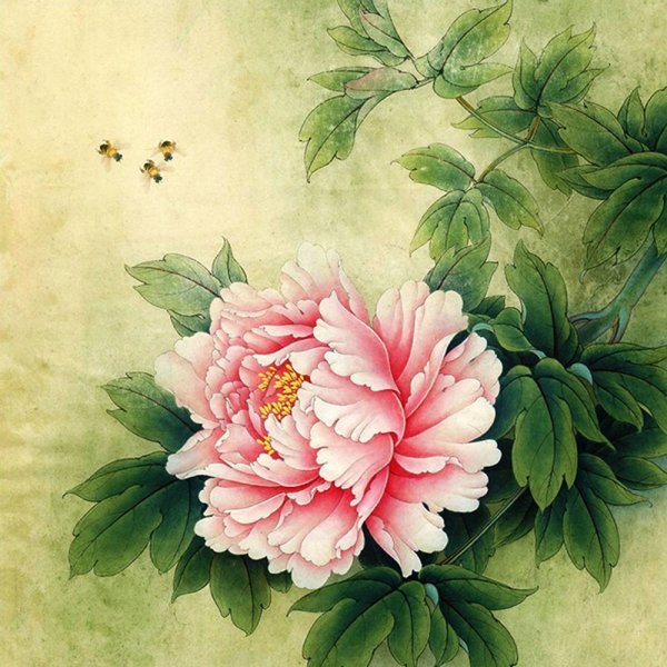 Китайская живопись пионы