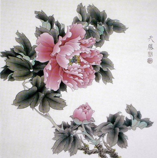 Пион символ Китая