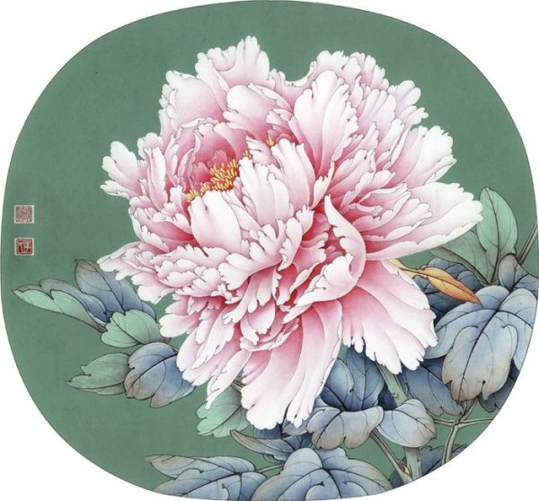 Peony Flower Chinese