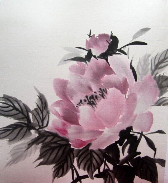 Китайские пионы гравюра