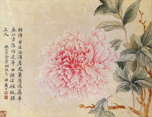 Древовидный пион гунби