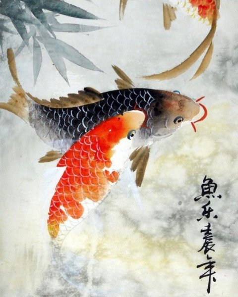 Гунби карпы