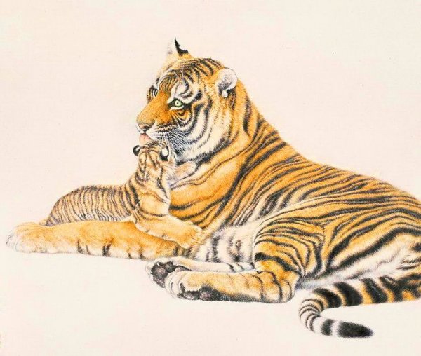 Тан Цзян художник тигр