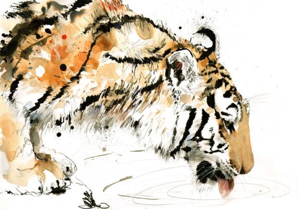 Анималистика тигр