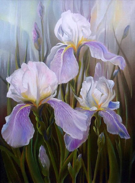 Ирисы Галины Клименко( Минака)