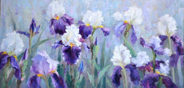 Дэрил Тротт ирисы