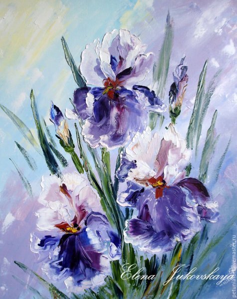 Дэниел Кейси ирисы