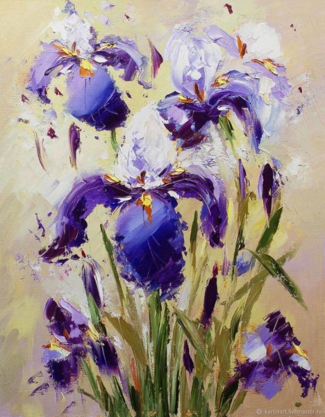 Ирис Jean Hoffmeister’