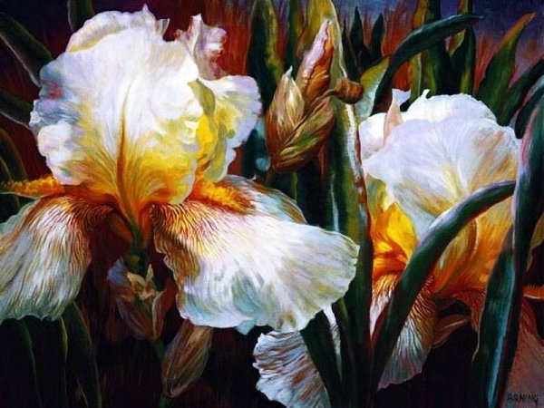 Елена Добель ирисы