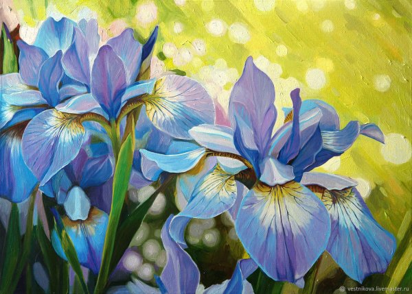 Игорь Яновский художник ирисы