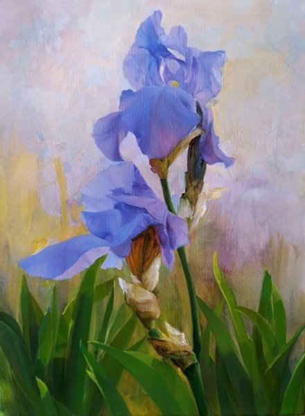 Ирисы ультрамарин