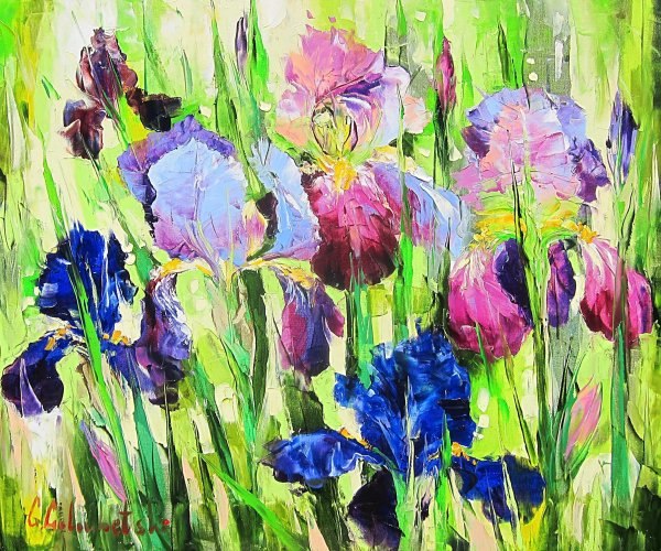 Ирисы мастихином маслом