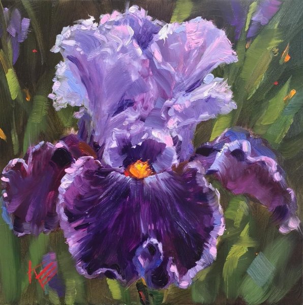 Ирисы Игоря Левашова