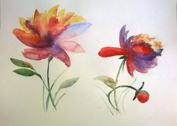 Аля Прима акварель