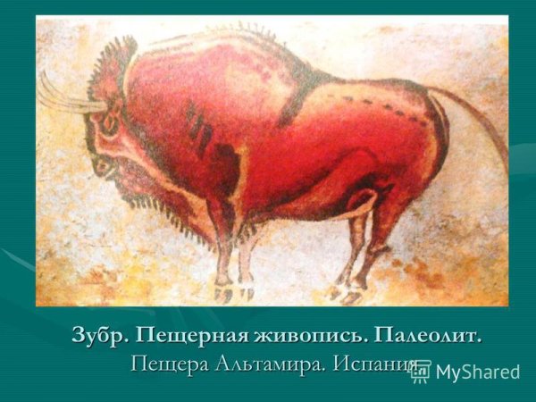 ЗУБР Пещерная живопись палеолит пещера Альтамира Испания