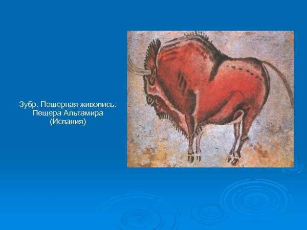 ЗУБР пещера Альтамира